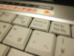 写真のパソコンでは「NumLK」と省略表記されている